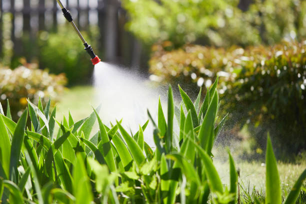 24/7 Emergency Mosquito Control experts in Green Knoll, NJ