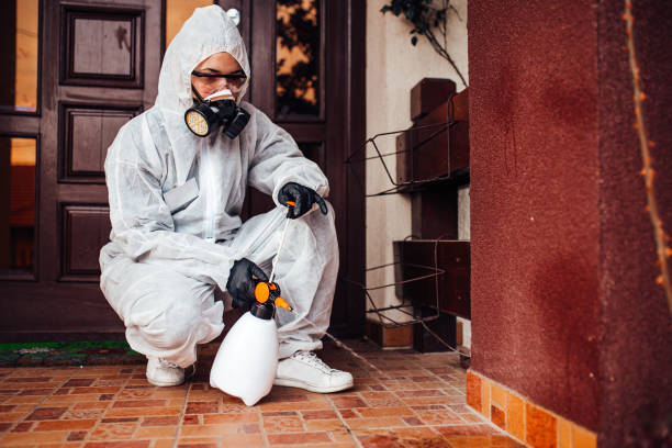 Reliable Mosquito Control contractor in Green Knoll, NJ by Show Me Pest Control
