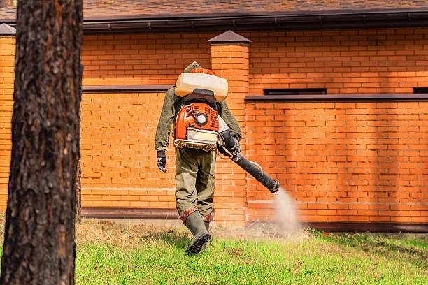 Top rated local Mosquito Control specialists in Green Knoll, NJ